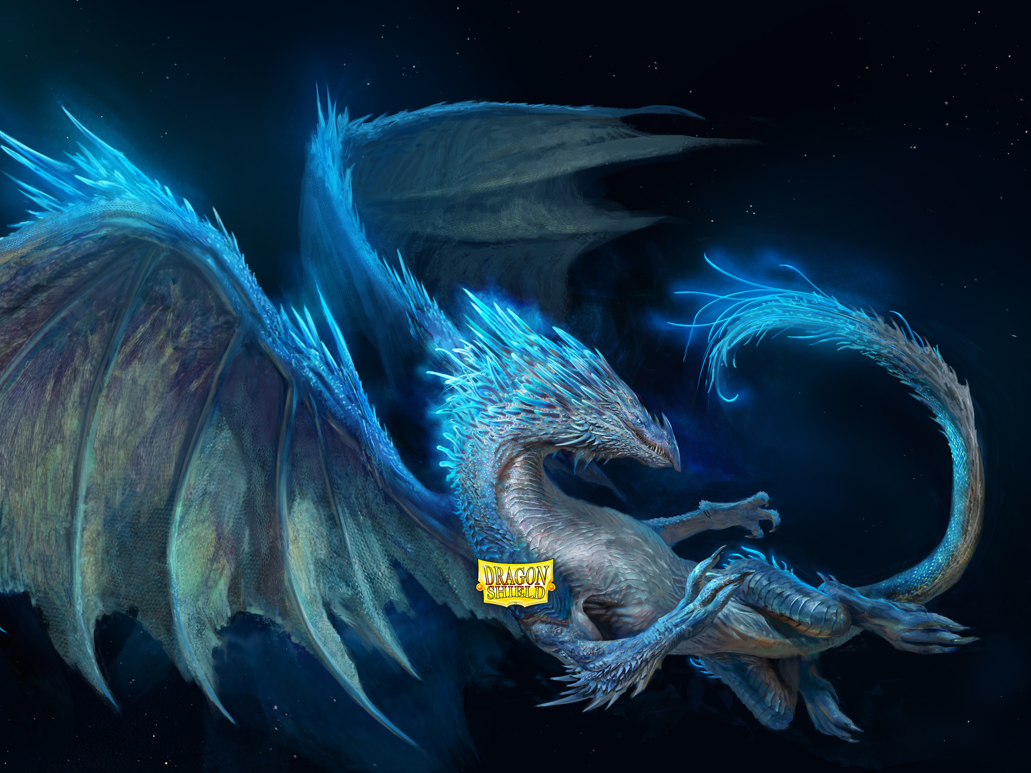 Article Banner