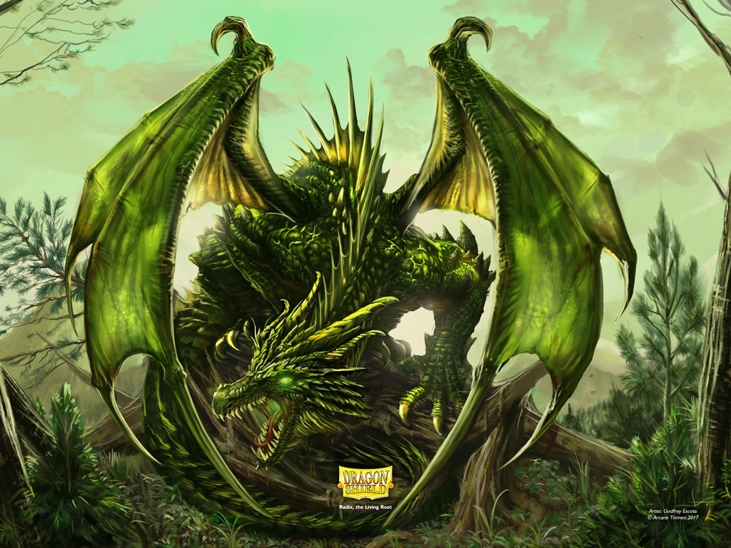 Article Banner